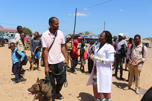 Directora da Agricultura e Segurança Alimentar da Cidade de Maputo interagindo com um proprietário de um animal de extimação após a vacinação contra Raiva, Bairro de Zimpeto