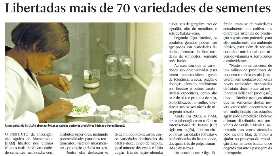 Notícias de Variedades - Jornal na Net