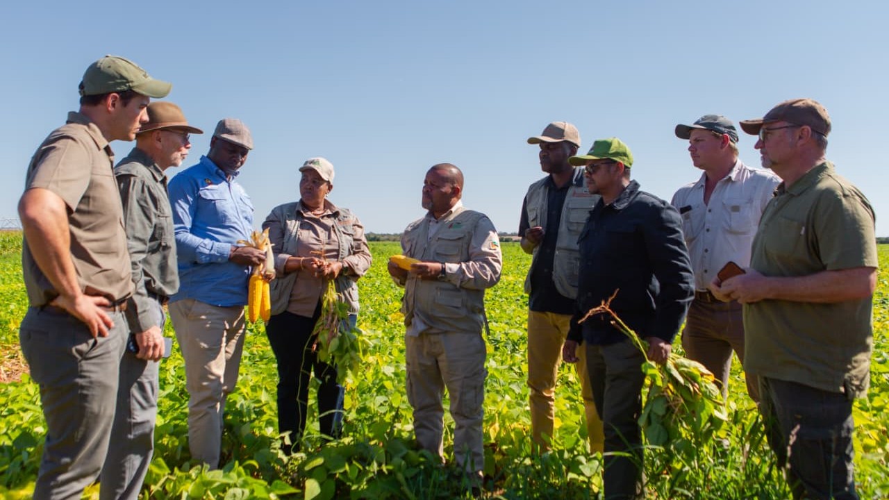 MASSINGIR CONSOLIDA-SE COMO POLO DE DESENVOLVIMENTO AGRÁRIO